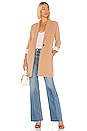 view 1 of 3 Haarlem Blazer Coat in Caramel