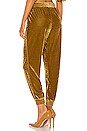 view 3 of 4 PANTALON MILO in Vintage Gold