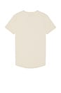 view 2 of 4 AO Curve Hem Tee in Clay