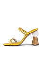 view 5 of 5 Trish Mule in Yolk