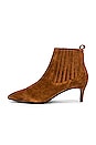 view 5 of 5 BOTTINES SABRINA in Chestnut Suede
