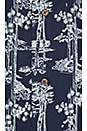view 5 of 5 Pine Hawaii Button Down in Blue & White