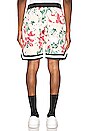 view 4 of 5 SHORTS FLORES JORDAN in Off White