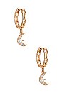view 1 of 2 Antibes Earrings in Gold