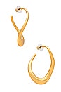 view 1 of 3 Dylan Earrings in Gold