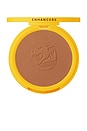 view 1 of 7 Bronzer Anonymous - Step 2 in Matte Amber