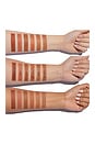 view 7 of 7 Bronzer Anonymous - Step 5 in Matte Tawny