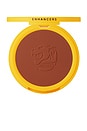 view 1 of 7 Bronzer Anonymous - Step 6 in Matte Rich Terracotta