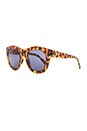 view 2 of 3 GAFAS DE SOL PSYCHEDELIC SOLUTION in Leopard Tort Gloss & Marine Grey