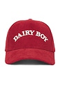 view 1 of 3 Arch Corduroy Trucker Hat in Berry