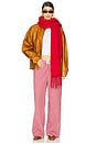 view 5 of 6 Elizabeth Pant in Cherry Gingham