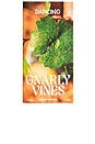 view 3 of 4 Gnarly Vines Eau De Parfum in 