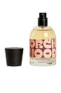view 1 of 4 Scorched Wood Eau De Parfum in 