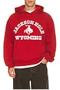 view 1 of 4 SWEAT À CAPUCHE SUMMER in Dark Red
