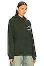 view 2 of 4 SUDADERA in Ivy