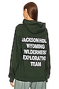 view 3 of 4 SUDADERA in Ivy