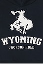 view 3 of 4 Wyoming Classic Hoodie in Navy