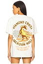 view 1 of 4 American Horse in White