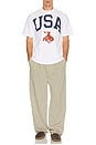 view 4 of 4 Usa 250 Collection Tee in White