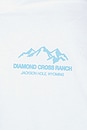 view 7 of 6 Trailblazer Long Sleeve Tee in White