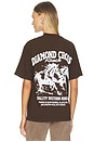 view 1 of 4 Shop Tee in Brown