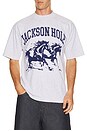 view 1 of 4 Blue Horses Tee in Ash Grey