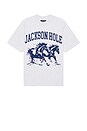 view 5 of 4 Blue Horses Tee in Ash Grey