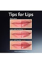 view 6 of 12 TRAITEMENT POUR LES LÈVRES DERMINFUSIONS PLUMP + REPAIR LIP TREATMENT in Pink