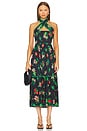 view 1 of 3 VESTIDO MIDI PIA in Apple Print