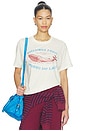 view 1 of 4 T-SHIRT GREETINGS FROM MORRO BAY BURNOUT BOYFRIEND  in Stone Vintage