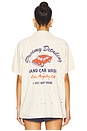 view 4 of 5 Dreamy Detailing Raglan Polo in Dirty White