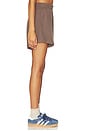 view 3 of 6 Thermal Resort Short in Vintage Mocha