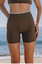 view 7 of 7 Go! Shortie Shorts in Coco And Lake Day