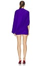 view 5 of 4 ROBE THE JUDITH in Purple