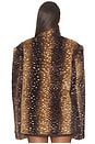 view 5 of 6 Sapel Jacket in Brown