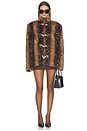 view 6 of 6 Sapel Jacket in Brown