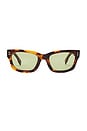 view 1 of 3 Milton Square Sunglasses in Tortoise