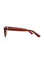 view 3 of 3 Earl Square Sunglasses in Coffee