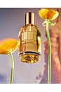 view 3 of 4 Sunlit Blooms Fragrance in 
