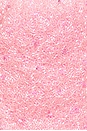 view 5 of 5 Nixie Color Block Bikini Bottom in Pink