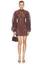 view 1 of 4 Airman Mini Dress in Brown