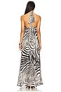 view 4 of 4 Isla Dress in Zebra
