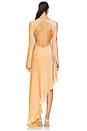 view 4 of 5 Rosalia Maxi Dress in Orange