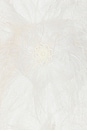 view 4 of 4 Monroe Dress in Ivory