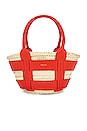 view 1 of 4 MINI SANTORINI トートバッグ in Natural & Poppy