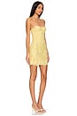 view 3 of 5 Bustier Dress in Lemonade