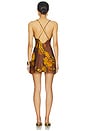 view 4 of 4 Veranera Mini Dress in Multi