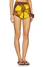 view 2 of 6 Veranera Mini Shorts in Multi