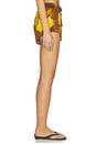 view 3 of 6 Veranera Mini Shorts in Multi