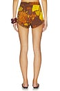 view 4 of 6 Veranera Mini Shorts in Multi